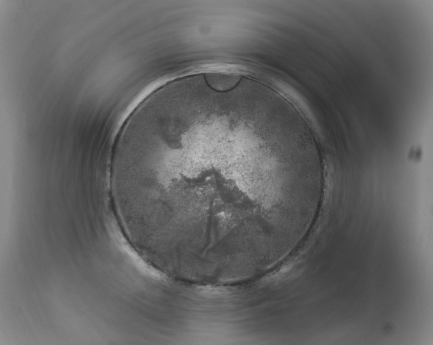 X0000112880852200908211449