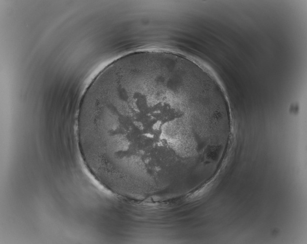 X0000112880855200908211449