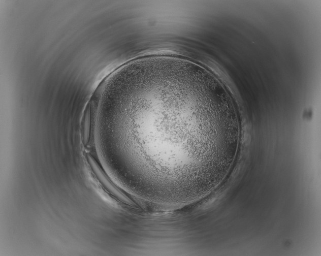 X0000112880858200908211449