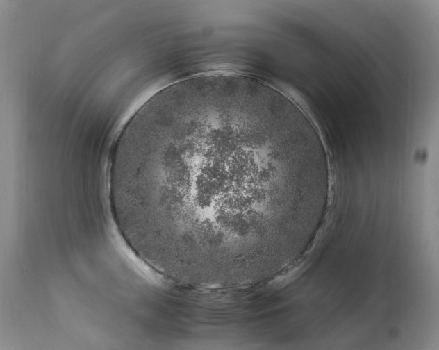 X0000112880859200908211449