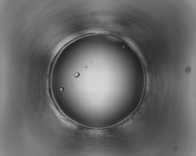 X0000112880861200908211449