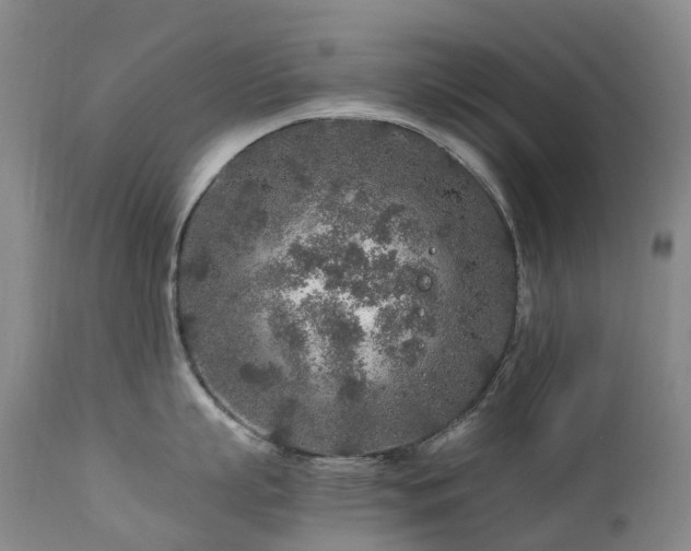 X0000112880863200908211449