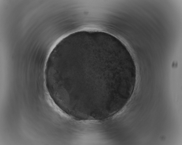 X0000112880864200908211449