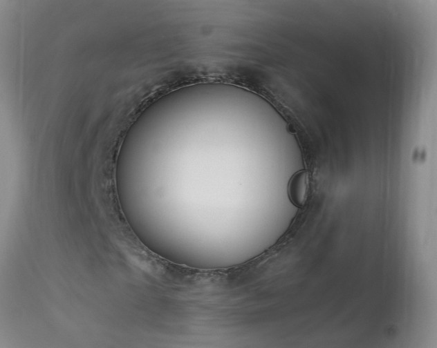 X0000112880865200908211449