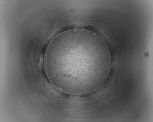 X0000112880866200908211449