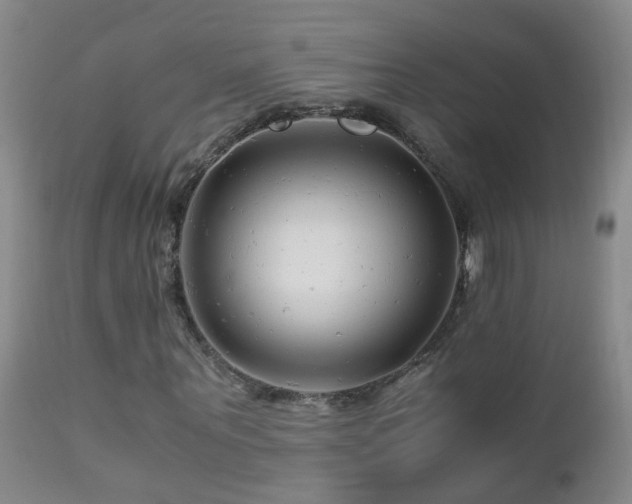 X0000112880867200908211449