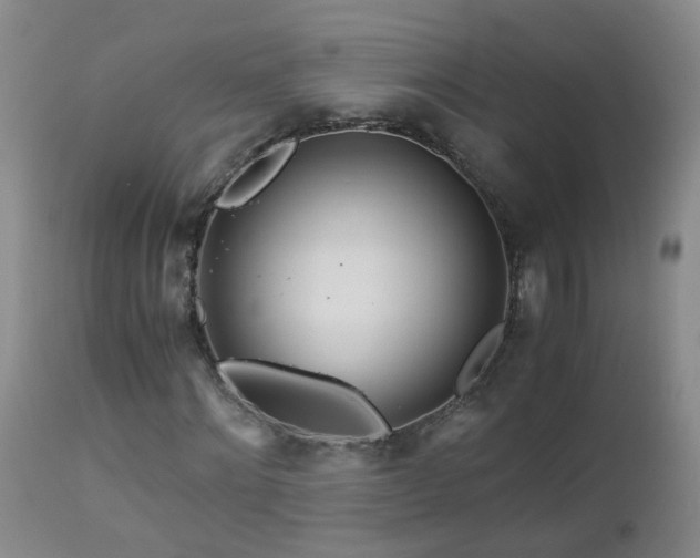 X0000112880868200908211449