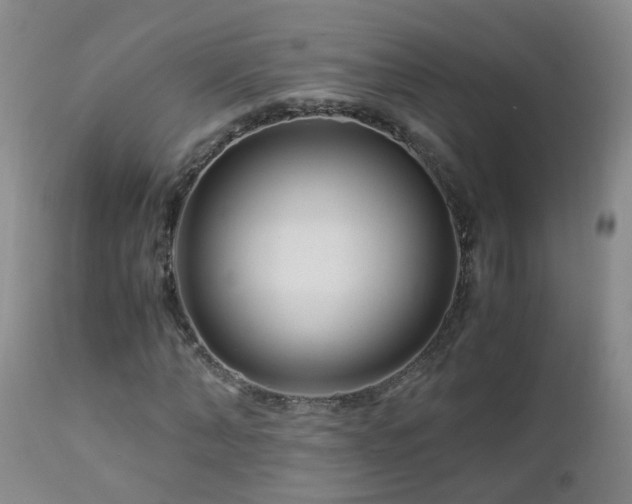 X0000112880870200908211448