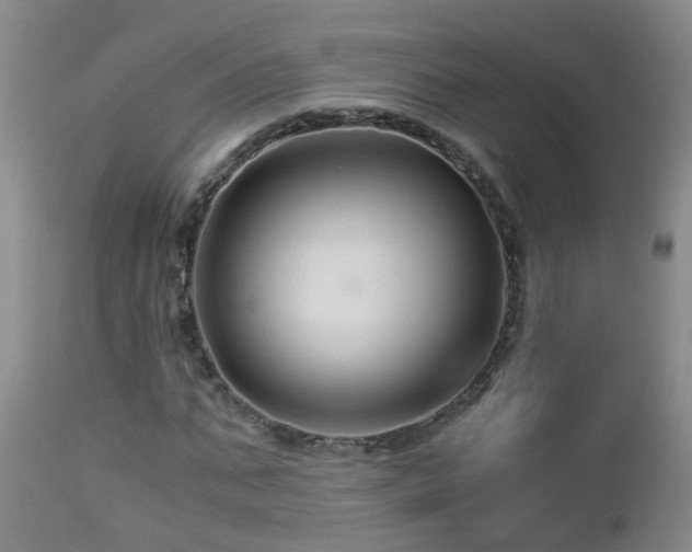 X0000112880871200908211448