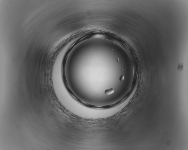 X0000112880872200908211448