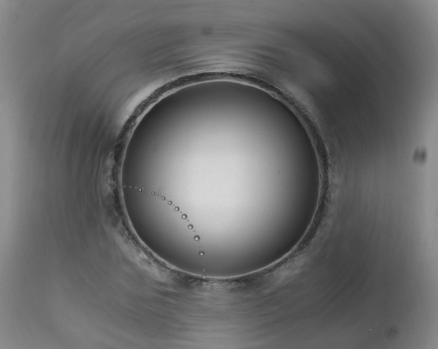 X0000112880875200908211448