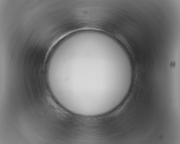 X0000112880876200908211448