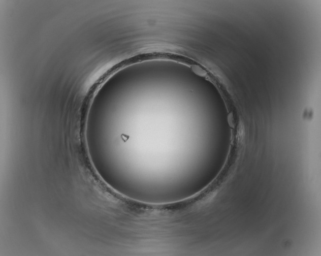 X0000112880877200908211448