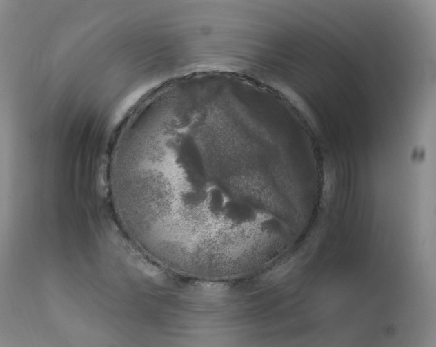 X0000112880878200908211448