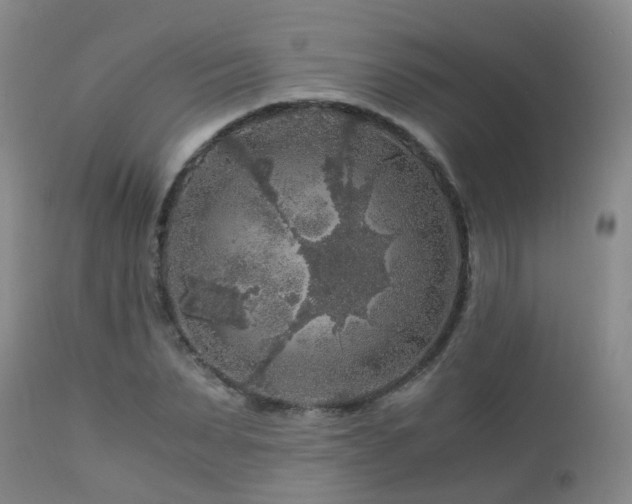 X0000112880879200908211448