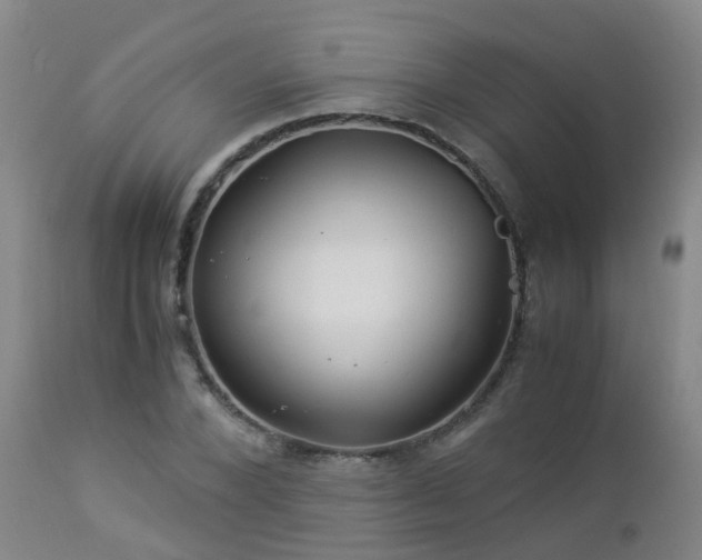 X0000112880880200908211448