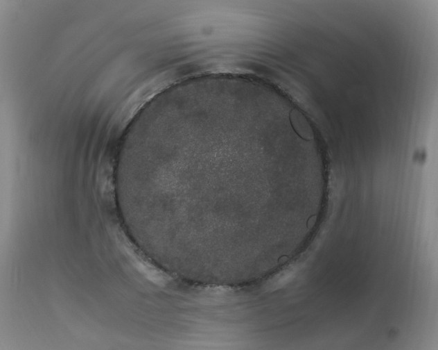 X0000112880881200908211448