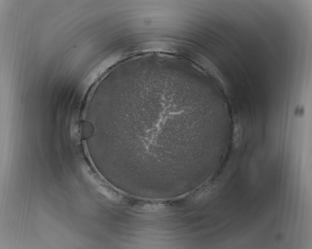 X0000112880882200908211448