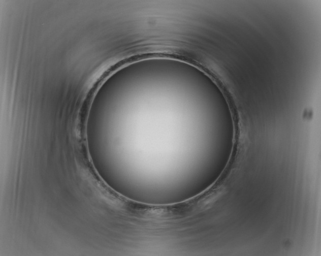 X0000112880883200908211448