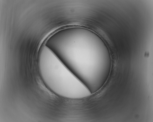 X0000112880884200908211448