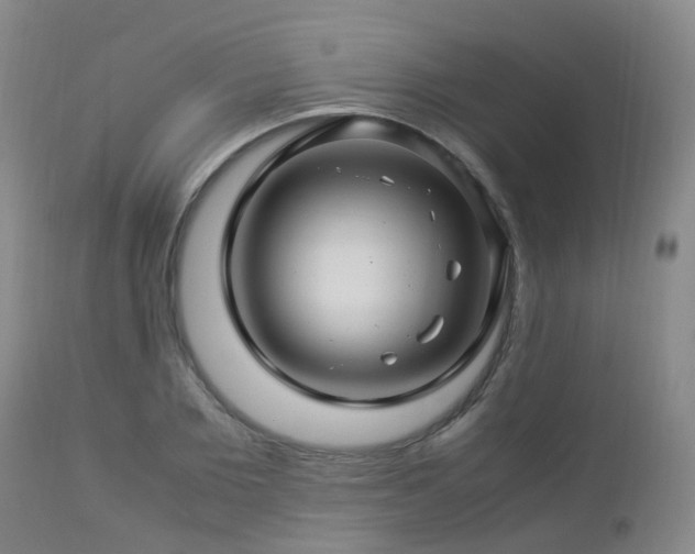 X0000112880885200908211448