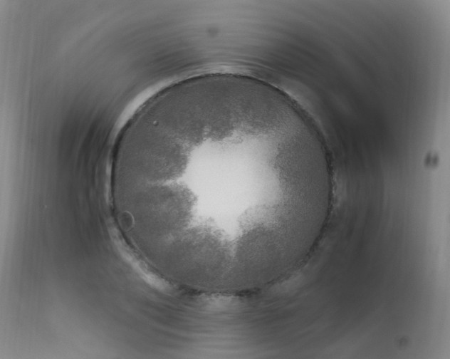 X0000112880886200908211448