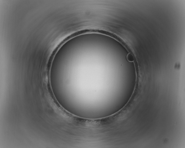 X0000112880887200908211448