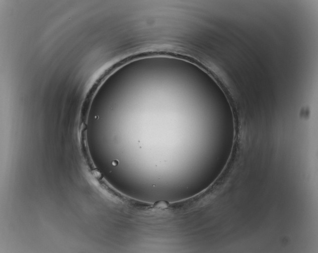 X0000112880888200908211448