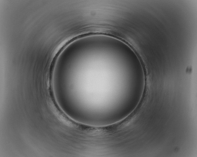 X0000112880891200908211448