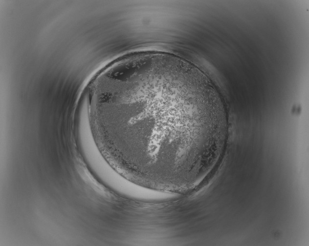 X0000112880892200908211448