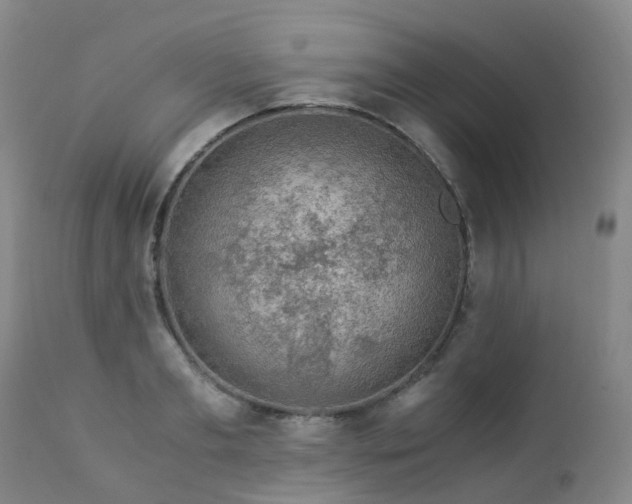 X0000112880893200908211448