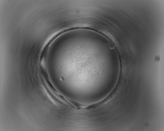 X0000112880894200908211448