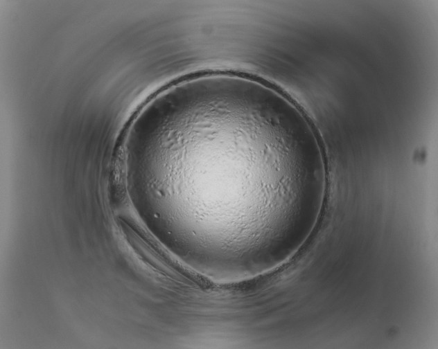 X0000112880895200908211448