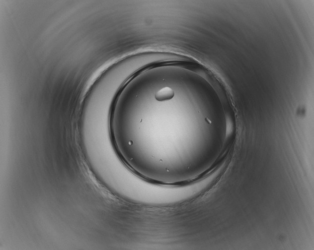 X0000112880896200908211448