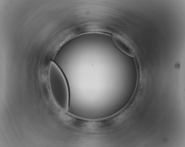 X0000112880897200908211448