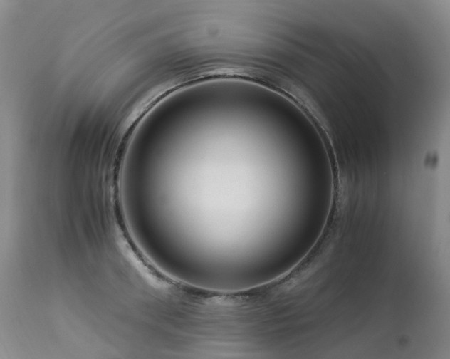 X0000112880898200908211448