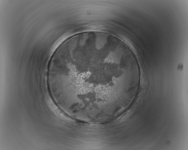 X0000112880899200908211448