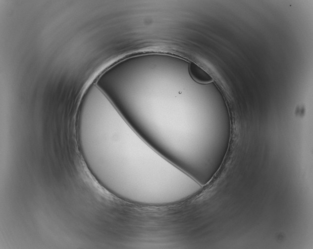 X0000112880900200908211448