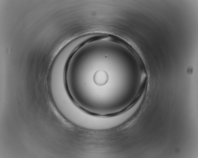 X0000112880901200908211448