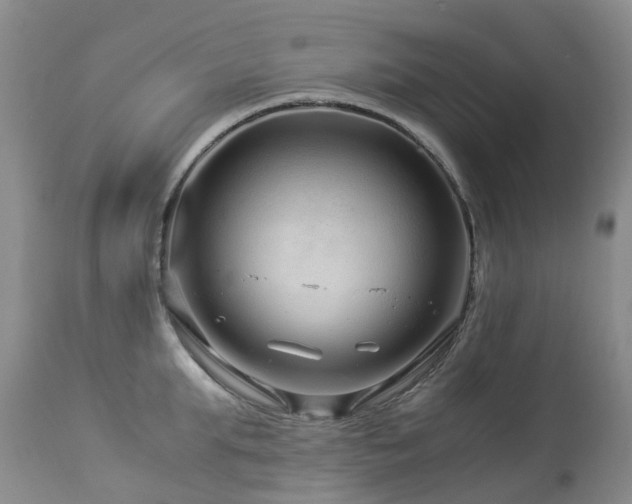 X0000112880903200908211448