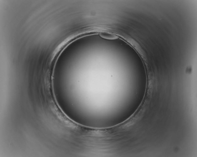 X0000112880904200908211448