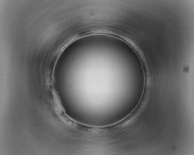 X0000112880905200908211448