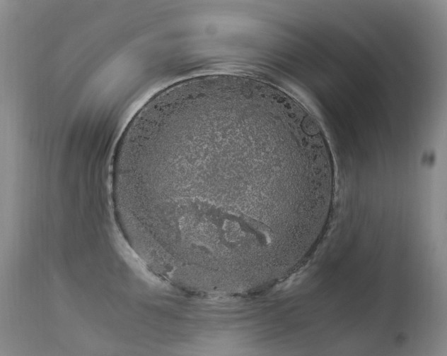 X0000112880907200908211448