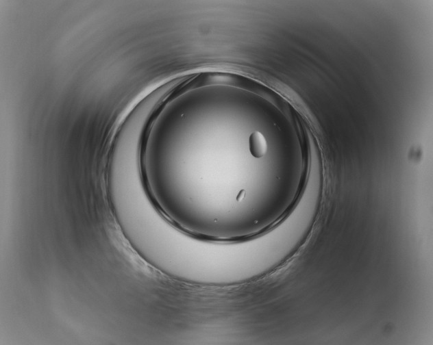 X0000112880908200908211448