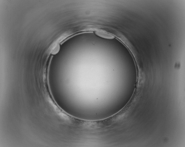 X0000112880909200908211448