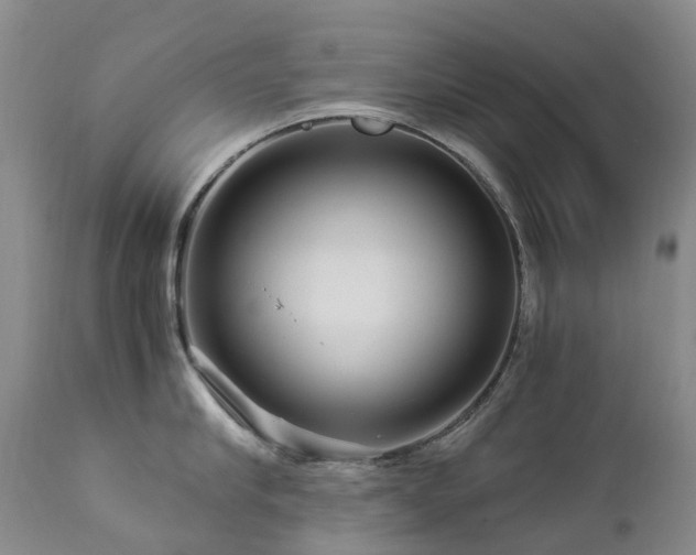 X0000112880910200908211448