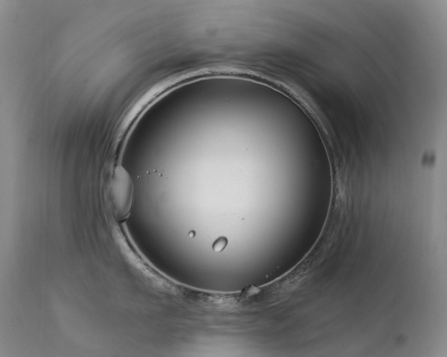 X0000112880911200908211448