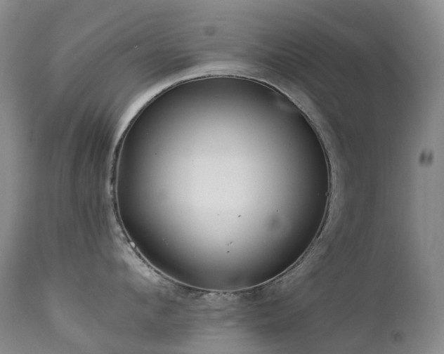 X0000112880912200908211448