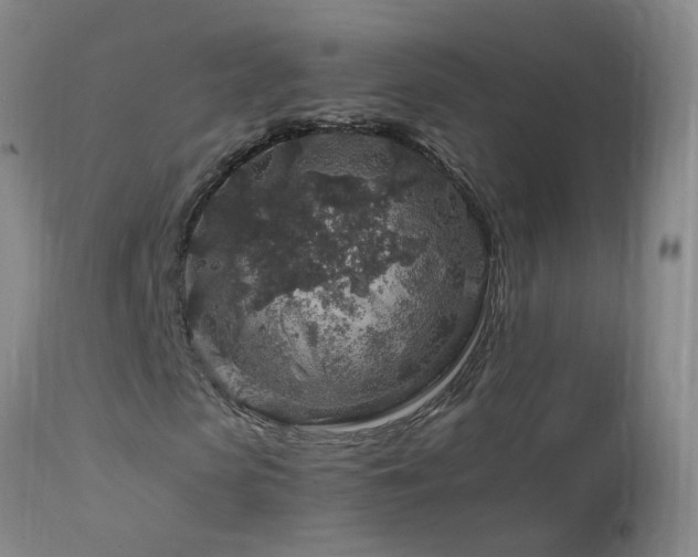 X0000112880913200908211447