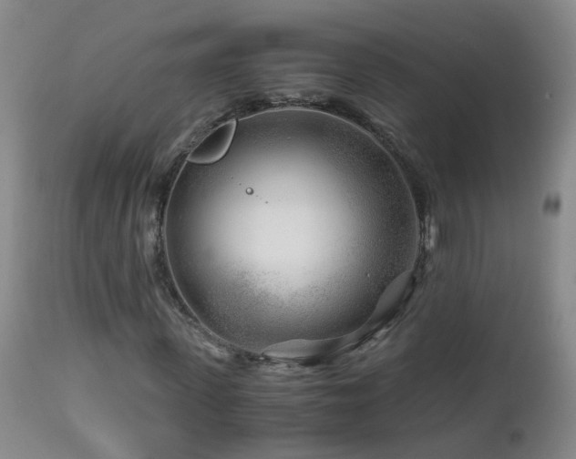 X0000112880915200908211447